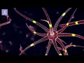Soothe the Nervous System - Heal Your Vagus Nerve, Nerve Healing Binaural Beats - Nerve Regeneration