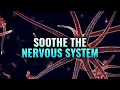 Download Lagu Soothe the Nervous System - Heal Your Vagus Nerve, Nerve Healing Binaural Beats - Nerve Regeneration
