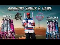 Anarchy Shock Dawe USSSA Slowpitch Bat Review