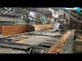 60 ft douglas fir