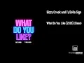 Bizzy Crook and Ty Dolla Sign - What Do You Like [2026] (Clean)