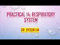 Respiratory System Histology Lab 14 Dr Byson EM