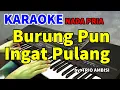 Download Lagu BURUNG PUN INGAT PULANG - Trio Ambisi | KARAOKE HD