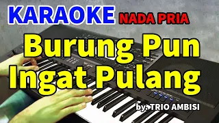 Download BURUNG PUN INGAT PULANG - Trio Ambisi | KARAOKE HD MP3