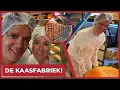 Download Lagu DE KAASFABRIEK! - #2364