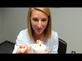 Canton Repository Taste Test Dunkin Power Bowls