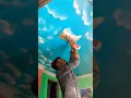 Ceiling sky design