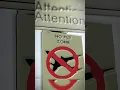 Download Lagu https://vt.tiktok.com/ZSUReUtqb/My Airline favourite dream