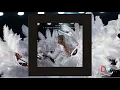 Download Lagu Taylor Swift - I Can Do It With A Broken Heart (Dombresky Remix) (Visualizer)