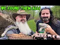 Finding All The Reptiles With Dav Kaufman