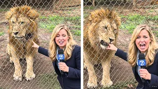 30 Times Reporters Were Attacked by Animals on Camera!