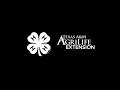 What is Texas 4-H