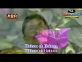 MUCHSIN ALATAS - HAINUN - ORIGINAL - UPDATE 2020