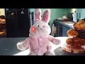 Dandee foot taping bunny