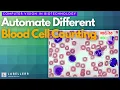 Automate Counting of Different Blood Cell Types in Lab using Labellerr