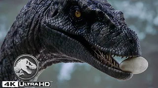 Jurassic Park III | The Raptors Come for Their Eggs