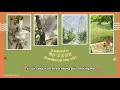 [VIETSUB] GARDEN IN THE AIR (공중정원) - BAEKHYUN