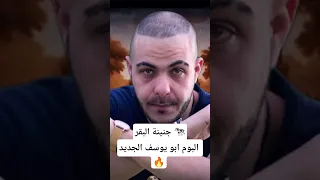 فك شفرة جنينة البقر لابو يوسف Abyusif Egyptianrap Lilbaba 