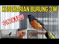Download Lagu Ternyata Simpel Saja Tapi Istimewa. MB OHARA