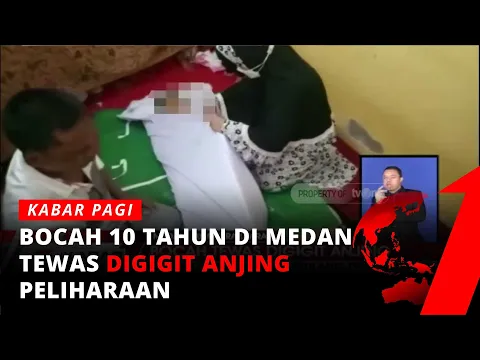 Waspada Hewan Peliharaan, Bocah 10 Tahun Tewas Digigit Anjing