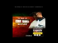 THE BEST OF SIDDY RANKS reggae MIXTAPE    DJ BLACKSPIN THE SPIN GENIUS