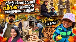തണുപ്പ് കാലത്തേക്ക് വിറക് ശേഖരിക്കാം 🍁🍂| collecting wood 🪵 #mallusinfinland #familyvlog #malayalam 