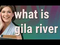 Download Lagu Gila river | meaning of Gila river