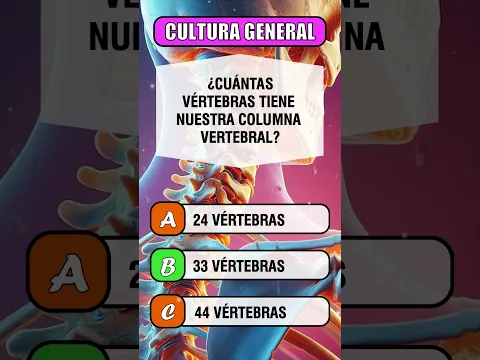 Cuál es la función principal que tiene el corazón bombear sangre