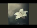Download Lagu White Lily