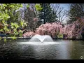 Living in Georgetown KY The Ultimate Local Guide Homes com