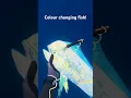 Lagu Dorado changes colours instantly #spearfish #mahimahi