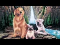 Download Lagu Homeward Bound Soundtrack - Homeward Bound Complete Theme