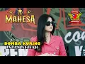 Download Lagu DOMBA KURING - INTAN AFIFAH - MAHESA - KAPOEK COMMUNITY 2023 - KARABAN PATI