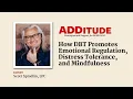 How DBT Promotes Emotional Regulation Distress Tolerance Mindfulness with Scott Spradlin LPC