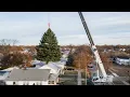 Christmastime in Bay City has arrived with downtown tree in place
