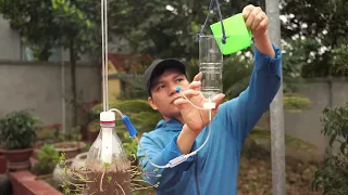 🌱 DON'T THROW AWAY PLASTIC BOTTLES! TURN OLD BOTTLES INTO A LUSH GREEN BASIL GARDEN