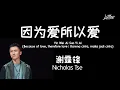 Lagu 因为爱所以爱 | Yin Wei Ai Suo Yi Ai – Nicholas Tse 谢霆锋 (Lirik terjemahan ID/ENG)