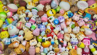 ALL MY SQUISHY COLLECTION‼️