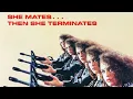 Download Lagu WTF Wednesday Review: Lady Terminator
