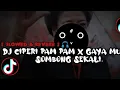 🎧DJ CIPERI PAM PAM V2 X GAYA MU ITU SOMBONG SEKALI [ SLOWED \u0026 REVERB ] 🎧