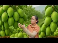 Download Lagu Harvest 100kg of GIANT Mangoes and Bring Them to the Market to Sell, Cook, and Clean the Garden