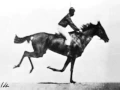 Download Lagu Race Horse First Film Ever 1878 Eadweard Muybridge