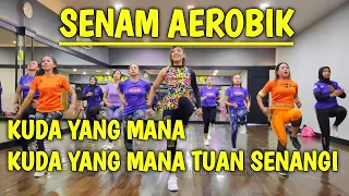 Download KUDA YANG MANA KUDA YANG MANA TUAN SENANGI | AEROBIK MUSIK TERBARU MP3