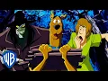 Download Lagu Scooby-Doo! | Lost in the Woods 🏕️ | WB Kids