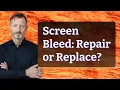 Screen Bleed Repair or Replace