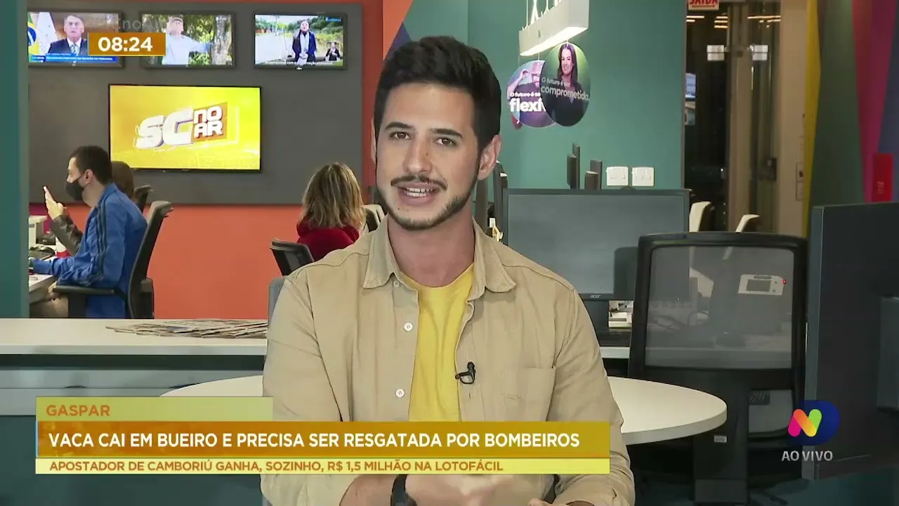 Vaca cai em bueiro e é resgatada pelos bombeiros em Gaspar