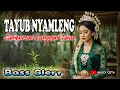 Download Lagu Tayub Langgam Jawa Nyamleng, Mykaila Mesuji Lampung - Musix Qita