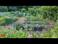 The Garden in June a full garden update