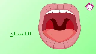                                أغنية اللسان   قناة دار القمر   قناة الطفل العربي دندنها