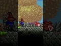 weirdest pet in terraria